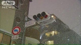 東京で45年ぶりの大雪　7万軒を超える停電も(14/02/08)