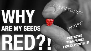 Ask the Expert: WHY ARE MY SEEDS RED?!