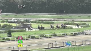 2011年7月23日 京都4R 障害未勝利 アドマイヤヘッド