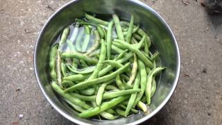 Don't Soak Your Green Beans Over Night!