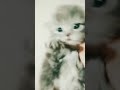 #persian_kitten😻🐱#whiskas#gravy #shorts #youtubeshorts