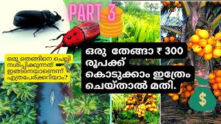 ഒരു തെങ്ങിൽ നിന്ന് ₹10,000 ഉണ്ടാകുന്ന Trick ഇതാ 😉. How to Earn more money💰 from Coconut Trees?