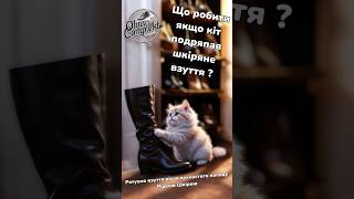 Прибираємо подряпини на шкіряному взутті після кота.Кіт подряпав шкіряне взуття #рідкашкіра #кіт