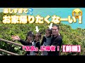 パパママの地元『五島』に帰省！想像していたより大はしゃぎだった！（笑）【前編】