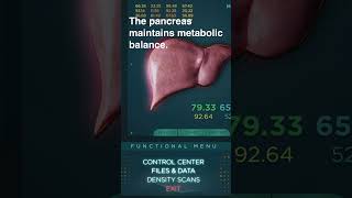 The Pancreas & Raw Foods | Human Body Brilliance #shorts