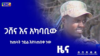 የአማራ ልዩ ኃይል እና ሚሊሻው ጋሸና እና አካባቢውን ከጠላት ኃይል እየጠበቀ ነው