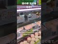 道の駅 玉村宿 その1 肉の揚げ物が人気！