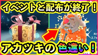 【ポケモンSV】いよいよ限定イベントと配布が終了！さらに色違いアカツキガチグマの図鑑ページの入手方法が判明！