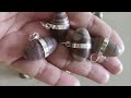 narmadeshwar shivling pendant