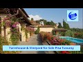 Country House with Vineyard for Sale Tuscany Pisa | Italian Properties for Sale