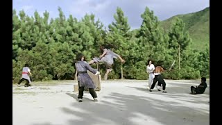 Incredible Fight Scene. The Young Master. 1980. In Shik Hwang.