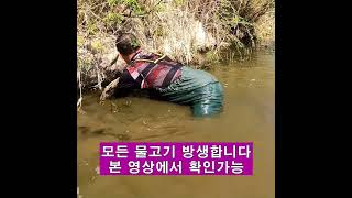 맨손으로 월척붕어잡기