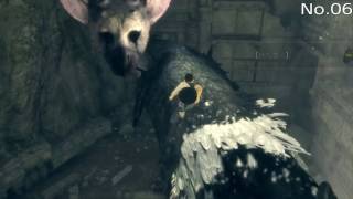 [THE LAST GUARDIAN]人喰いの大鷲トリコ 「すべてのタル」タルの場所 Part.1[Lock,Stock \u0026 Barrel]