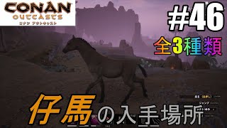 仔馬の入手場所【コナンアウトキャスト:Conan Exilesのんびり実況#46】