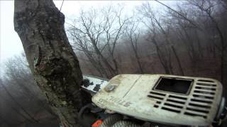 GoPro Tree Removal - JPK INDUSTRIES