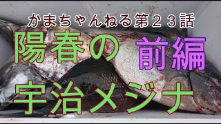 尾長グレねらいで陽春の宇治群島へ出撃したものの水温上昇でとんでもない展開になった件