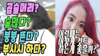 숱 많고 부시시한 여자 곱슬머리 컷트 하는 법~여자 단발머리 컷트 숱을 어떻게 치면 좋을까?