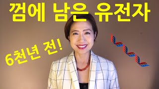 6천년 전 껌으로 유전자검사 결과 밝혀진 선사시대 사람의 정체