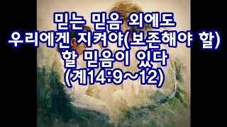 믿는 믿음 외에도 우리에겐 지켜내야 할 믿음이 있다(계14:9~12)_동탄명성교회 정병진목사