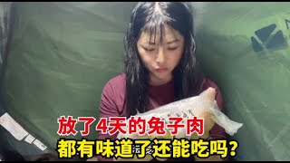 【杨美丽流浪记】美丽4天前花100块钱买的兔子肉，不舍得扔掉，有味道也要给他吃掉