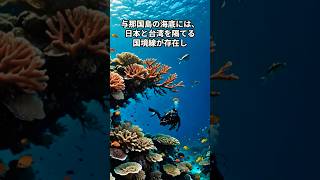 99%の日本人が知らない沖縄県の雑学５選 #shorts #雑学