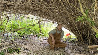 持ち物なし！手ブラで無人島サバイバル生活してみた。島に上陸編