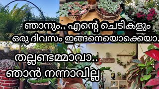 ഒരു ദിവസം ഇത്രേം നേരം ചെടികൾക്കോ/gardening/garden setting ideas/gardening ideas for home/diy garden