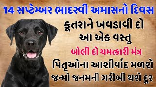 Bhadarvi Aamash || અમાસના દિવસે કાળા કૂતરાને ખવડાવી દો આ એક વસ્તુ || પિતૃઓના આશીર્વાદ મળશે ||