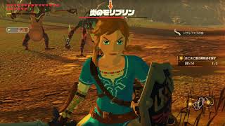 ゼルダ無双 厄災の黙示録　炎と氷と雷の特訓　HyruleWarriors:AgeOfCalamity　TheLegendOfZelda