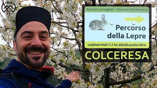 TRAIL RUNNING a Colceresa -  Percorso della Lepre