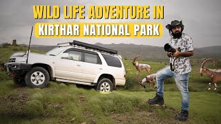 Wild Side of Karachi | Wildlife Adventure In Kirthar National Park