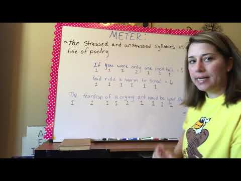 What is the meter of a sonnet called which contains 10 syllables with alternating stressed and unstressed syllables?
