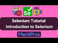 Selenium Tutorial - Introduction to Selenium