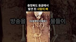 [역사를 보] 두루봉 동굴에서 발견 된 사람의 뼈