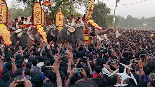 Puthupally kesavan @ Anayadi pooram 2019