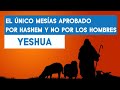 El único Mesías aprobado por Hashem y no por los hombres: Yeshua | Rab Dan ben Avraham |