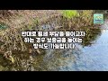 통합공공임대 주택 평택 고덕 신도시 임대주택 저렴하고 안정적인 주택 신청부터 입주까지 알아야 할 정보