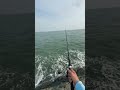 mangaluru beach 🏖️ fishing mountains beach sea