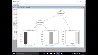 Decision Tree Classification in R (rpart - evtree - tree libraries)