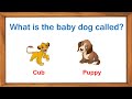 Quiz For Kids | General Knowledge Questions & Answers | Kids IQ | Educational videos for Kids, Part1