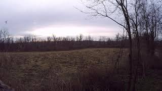 Muzzleloader Misfire