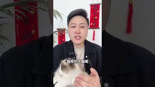 猫咪和主人分开几年？，猫咪还会想你吗？新手养猫 科学养宠攻略 养猫人 养猫经验分享  我和我的猫