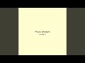 Pulse Shadow
