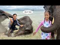 เล่นน้ำกับช้าง เกาะช้าง | บริ้งค์ไบรท์