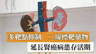 【蒲永孝醫師】多靶點抑制二線標靶藥物　延長病患存活期｜健康醫療網