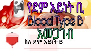 Blood Type B/የደም አይነት ቢ