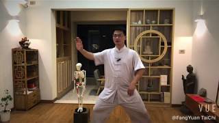 Tai Chi Basic Movements For Beginners
