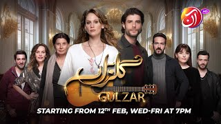 A drama that speaks to the heart—Gulzar begins tomorrow, 12th Feb 2025, every Wed-Fri at 7 PM