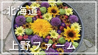 【UENO FARM】ドラマチックガーデン　旭川　上野ファーム　【Dramatic Garden】