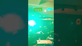 Totara - Live 23rd January 2025  #livemusic  #livemusicvideo livemusic